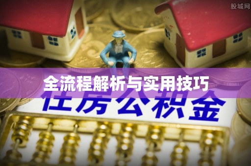 花溪全流程解析与实用技巧