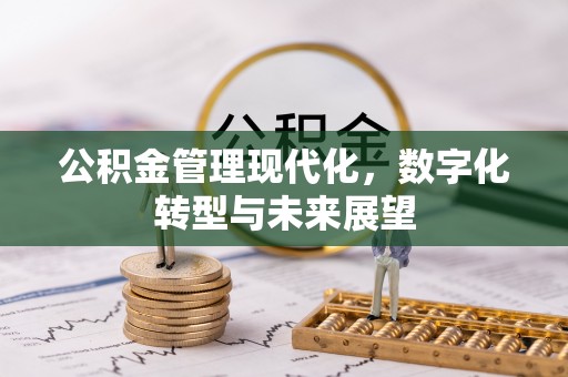 花溪公积金管理现代化，数字化转型与未来展望