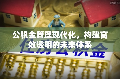 花溪公积金管理现代化，构建高效透明的未来体系