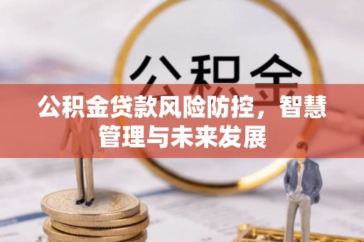花溪公积金贷款风险防控，智慧管理与未来发展