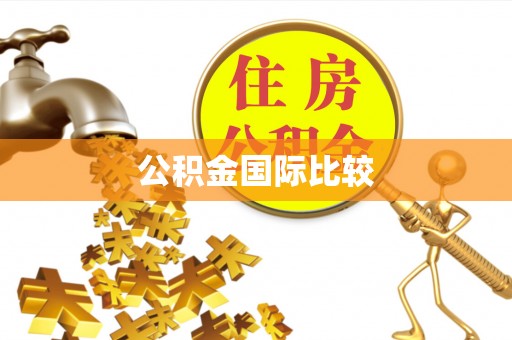 花溪公积金国际比较