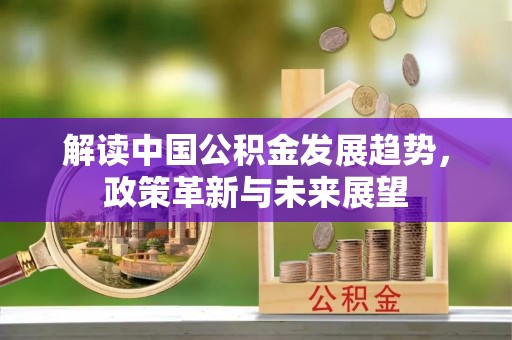 花溪解读中国公积金发展趋势，政策革新与未来展望