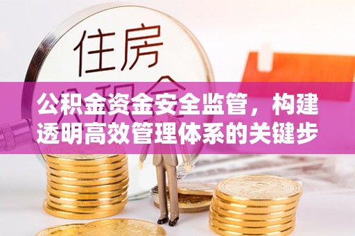 花溪公积金资金安全监管，构建透明高效管理体系的关键步骤