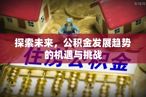 花溪探索未来，公积金发展趋势的机遇与挑战