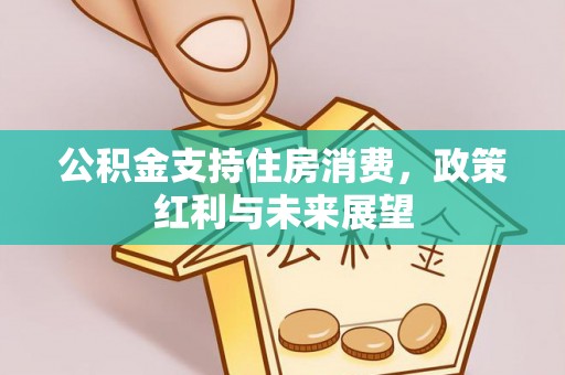 花溪公积金支持住房消费，政策红利与未来展望