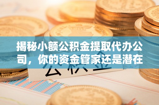花溪揭秘小额公积金提取代办公司，你的资金管家还是潜在风险？