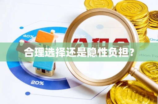 花溪合理选择还是隐性负担？