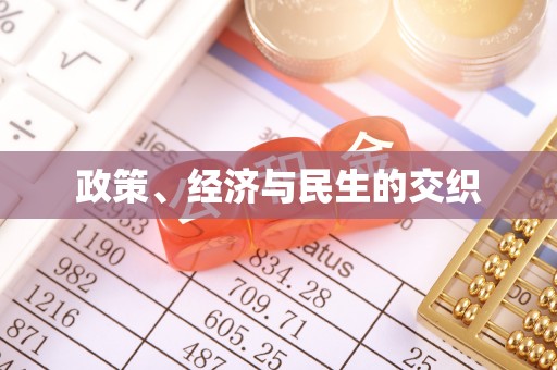 花溪政策、经济与民生的交织