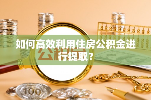 花溪如何高效利用住房公积金进行提取？