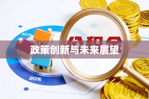 花溪政策创新与未来展望