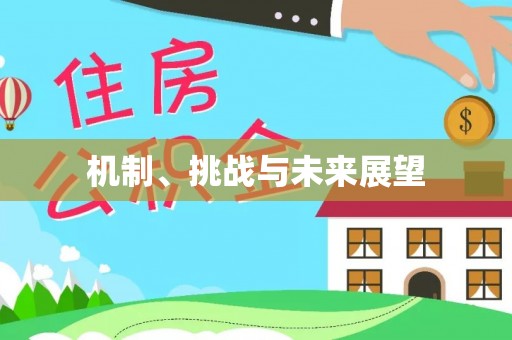 花溪机制、挑战与未来展望